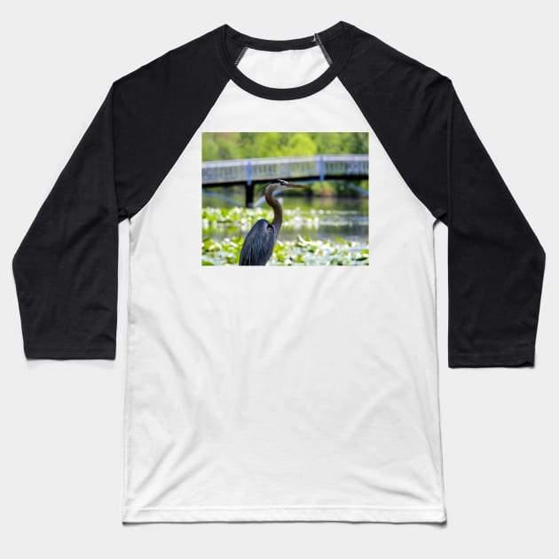 Blue Heron Series 1 - Salisbury, MD Baseball T-Shirt by searchlight